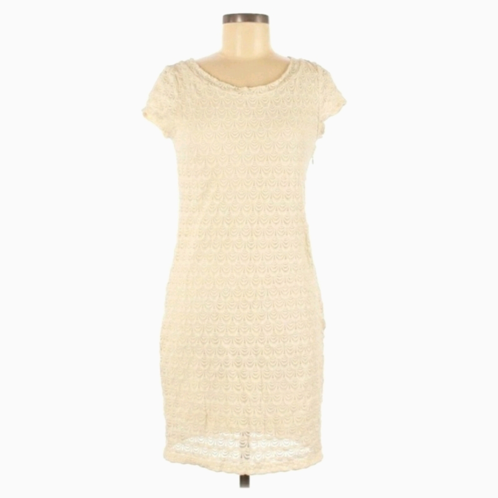 Banana Republic lace overlay dress